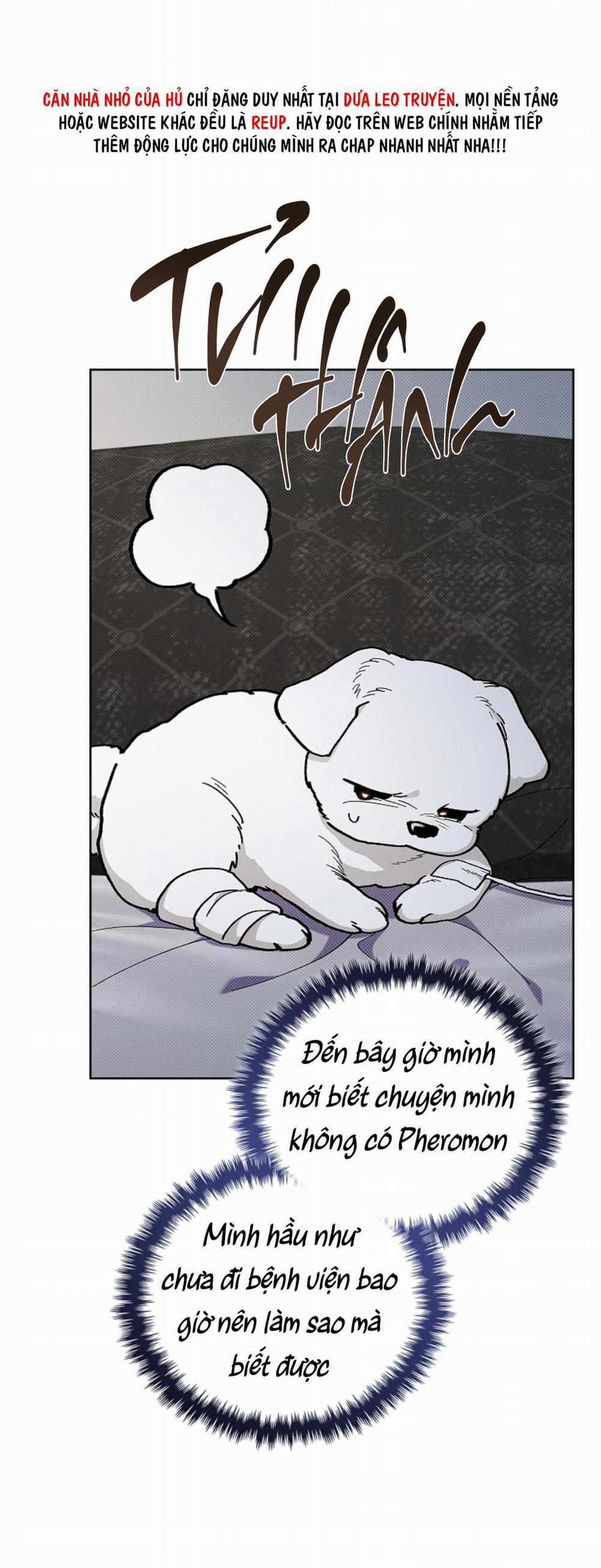 ĐỪNG ĐỤNG VÀO BÉ CÚN 4 trang 7