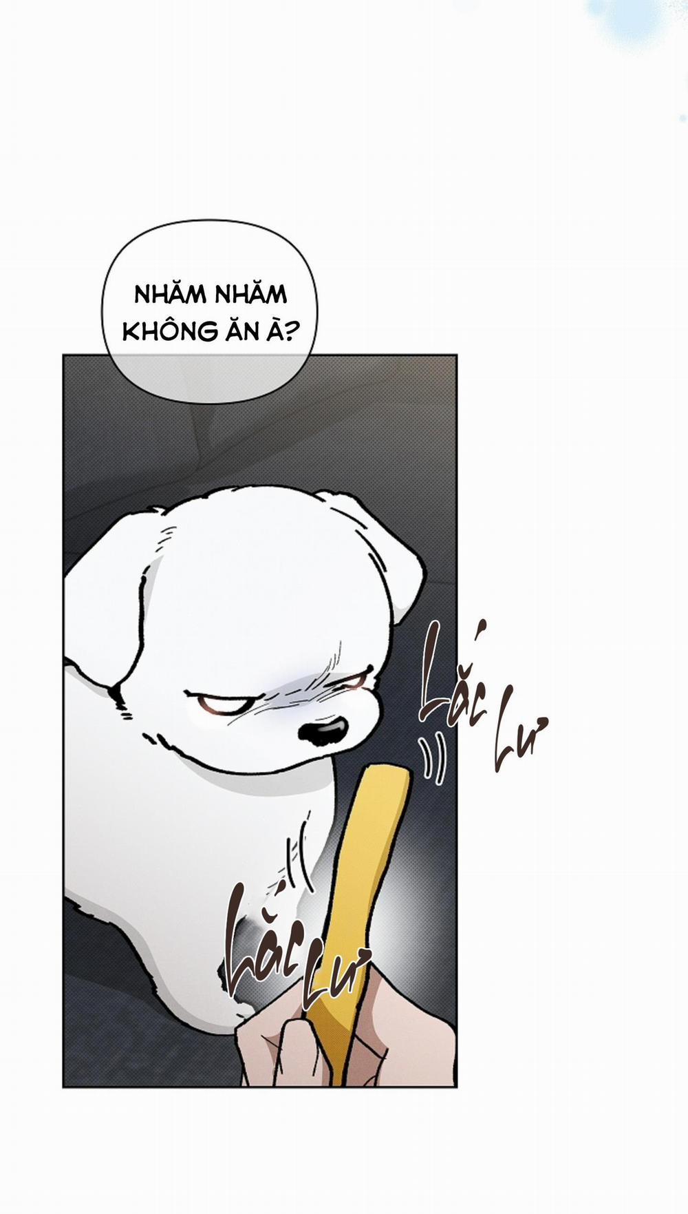 ĐỪNG ĐỤNG VÀO BÉ CÚN 4 trang 74