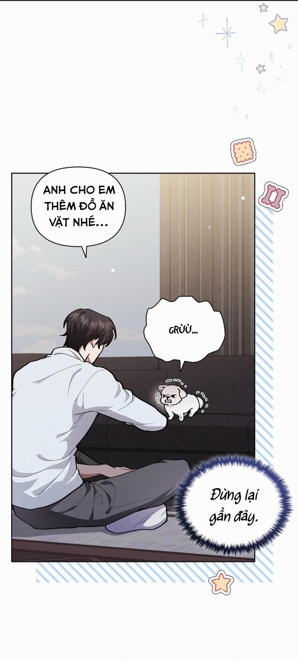 ĐỪNG ĐỤNG VÀO BÉ CÚN 5 trang 10