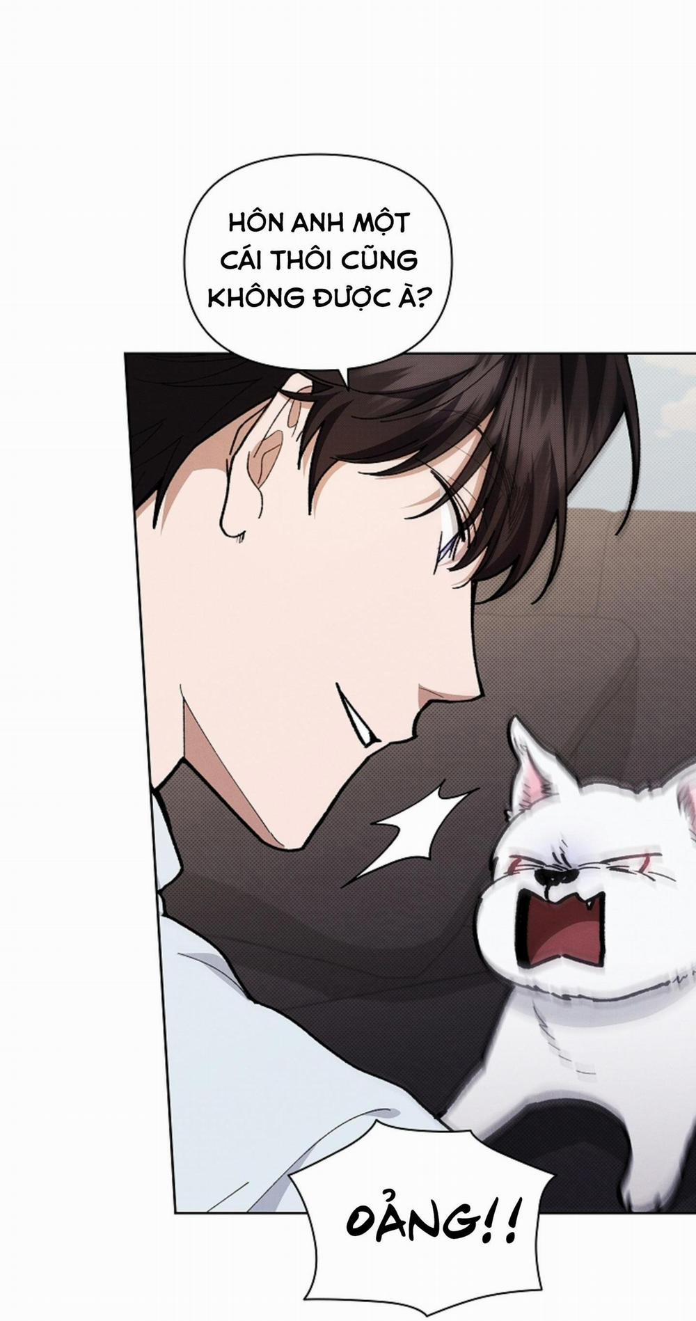 ĐỪNG ĐỤNG VÀO BÉ CÚN 5 trang 11