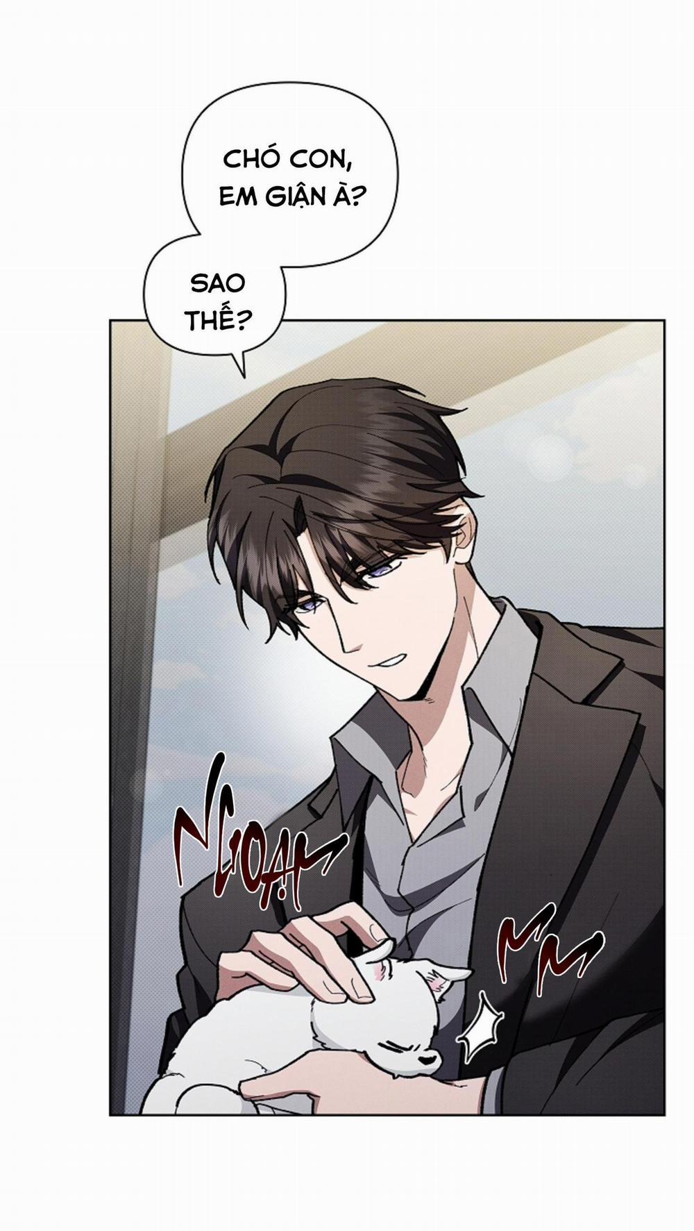 ĐỪNG ĐỤNG VÀO BÉ CÚN 5 trang 22