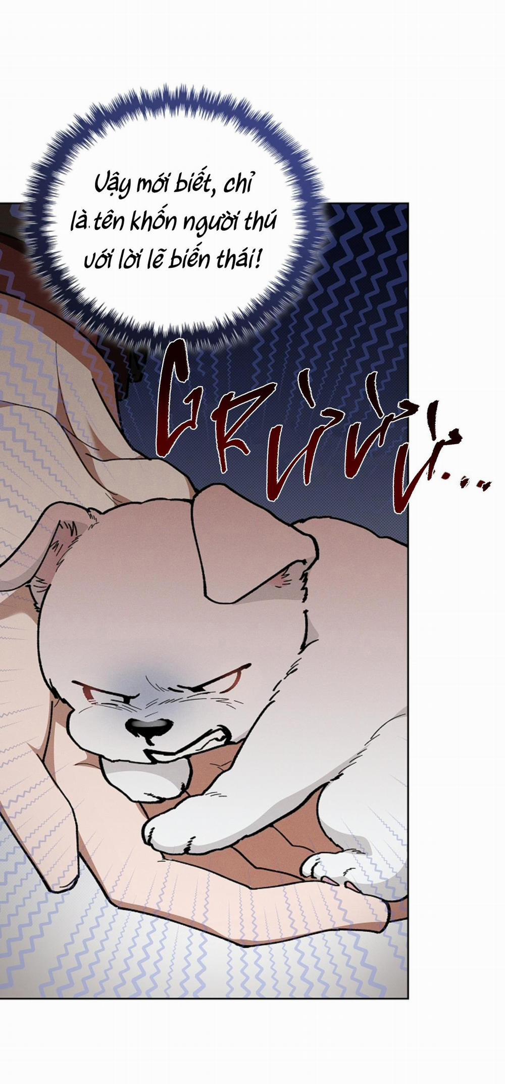 ĐỪNG ĐỤNG VÀO BÉ CÚN 5 trang 60