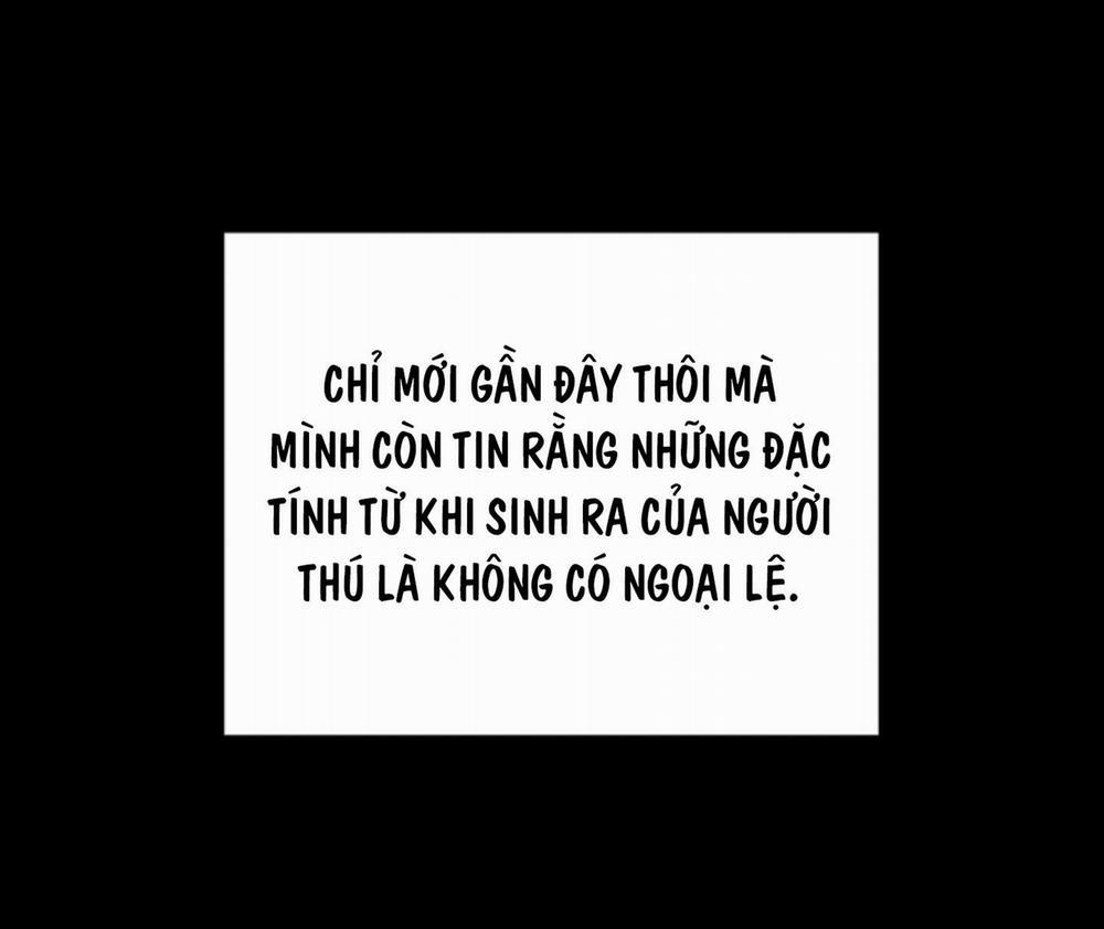 ĐỪNG ĐỤNG VÀO BÉ CÚN 5 trang 7