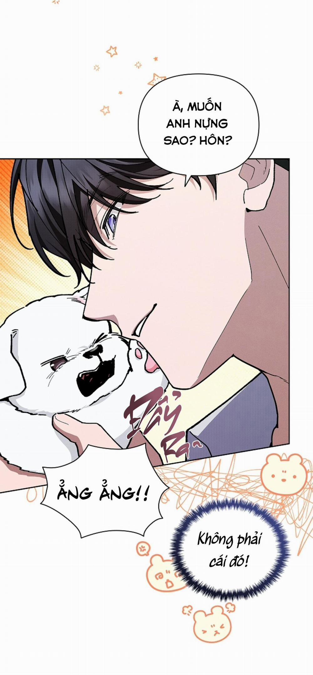 ĐỪNG ĐỤNG VÀO BÉ CÚN 6 trang 42