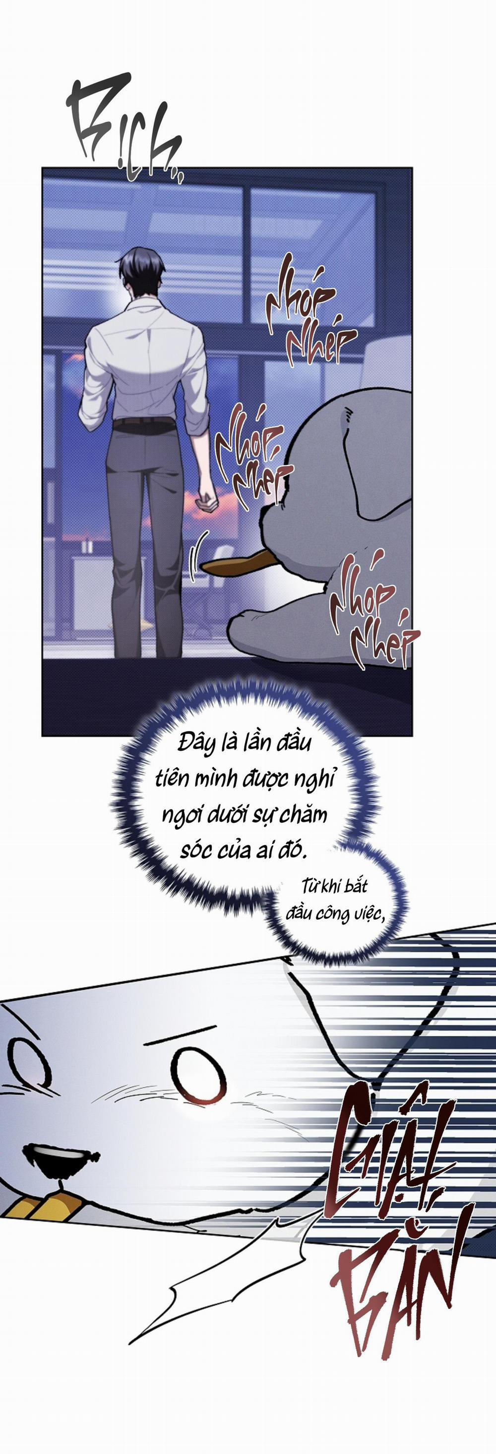 ĐỪNG ĐỤNG VÀO BÉ CÚN 6 trang 63