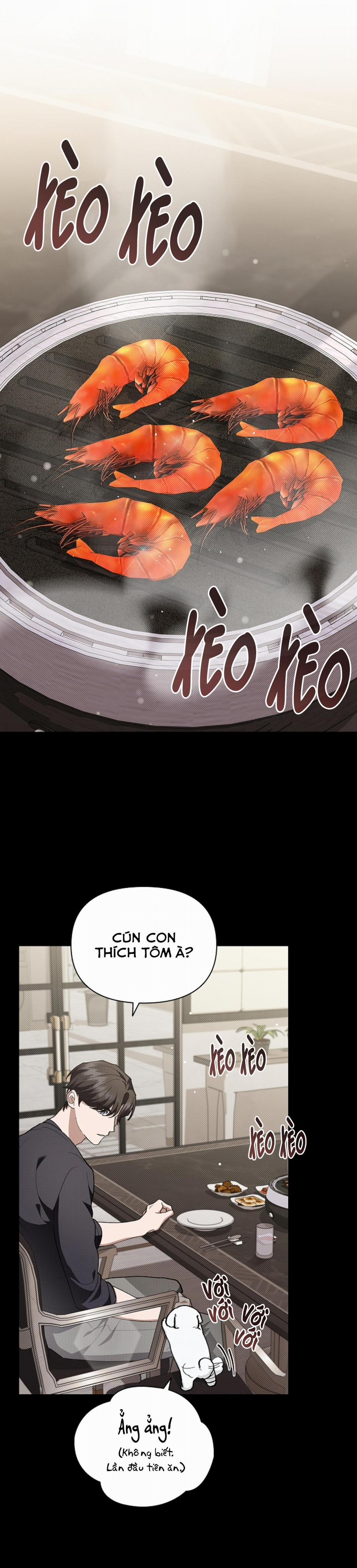 ĐỪNG ĐỤNG VÀO BÉ CÚN 7 trang 12