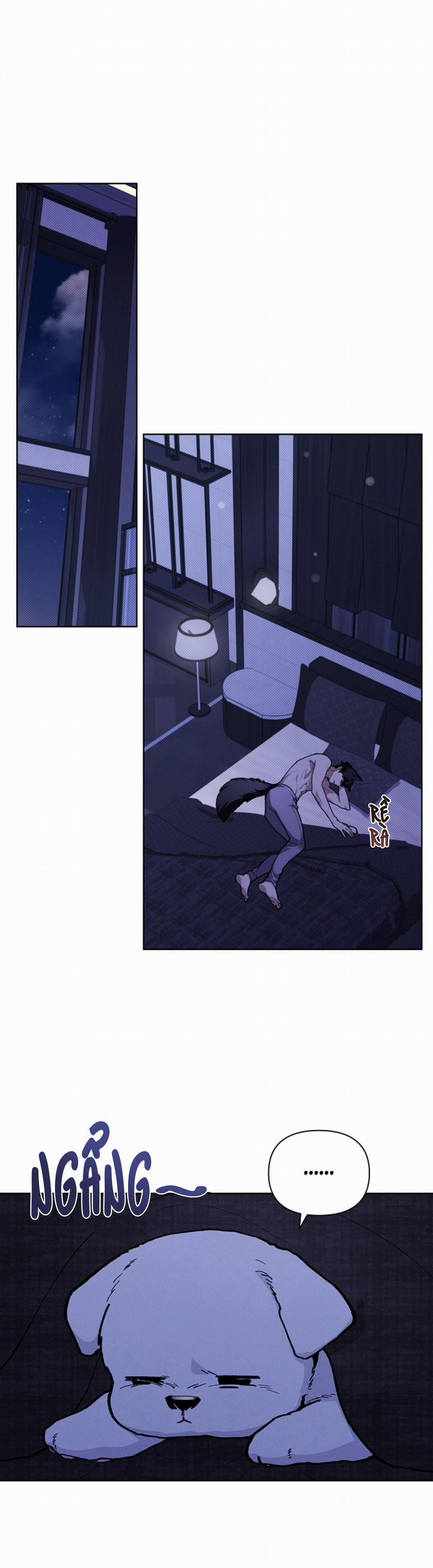 ĐỪNG ĐỤNG VÀO BÉ CÚN 7 trang 20