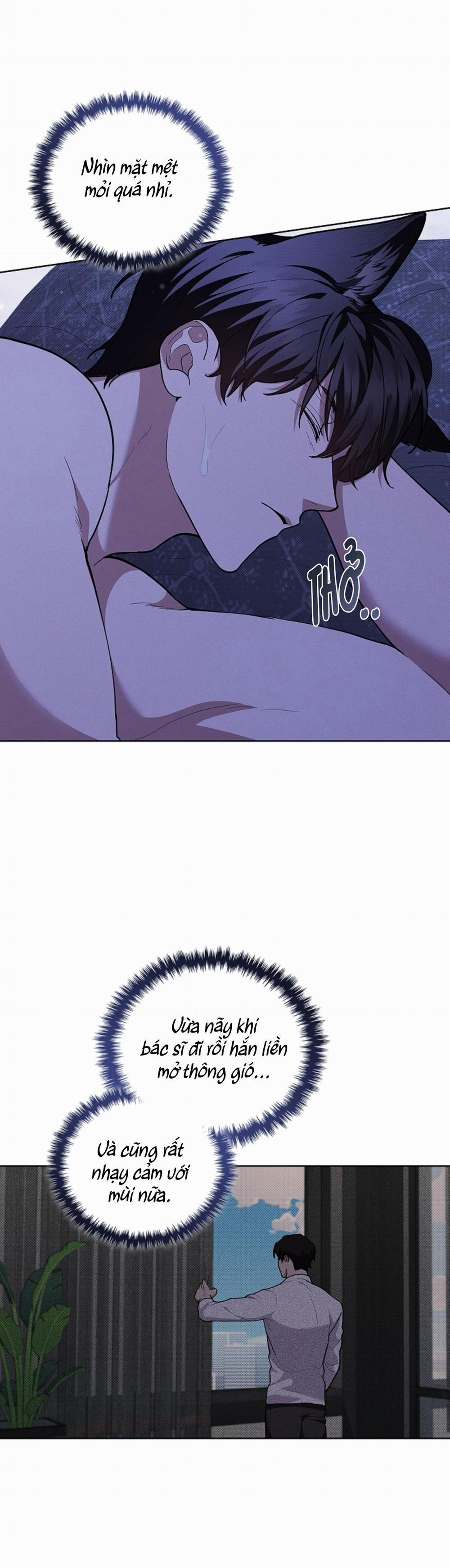 ĐỪNG ĐỤNG VÀO BÉ CÚN 7 trang 21