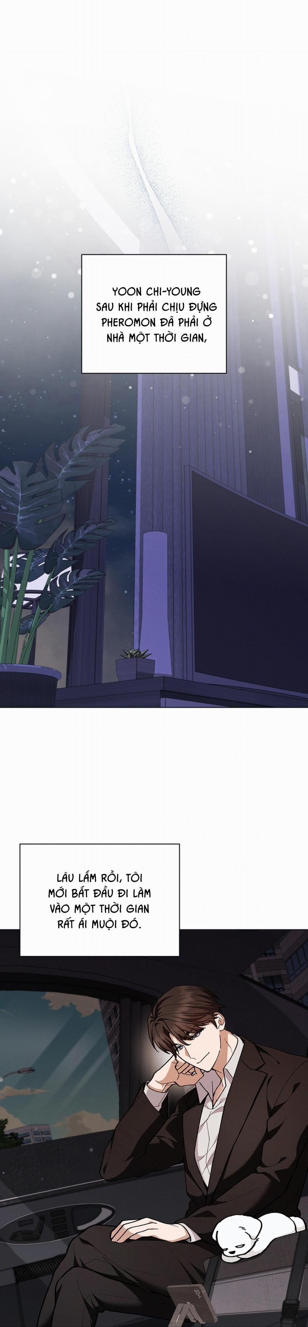 ĐỪNG ĐỤNG VÀO BÉ CÚN 7 trang 32