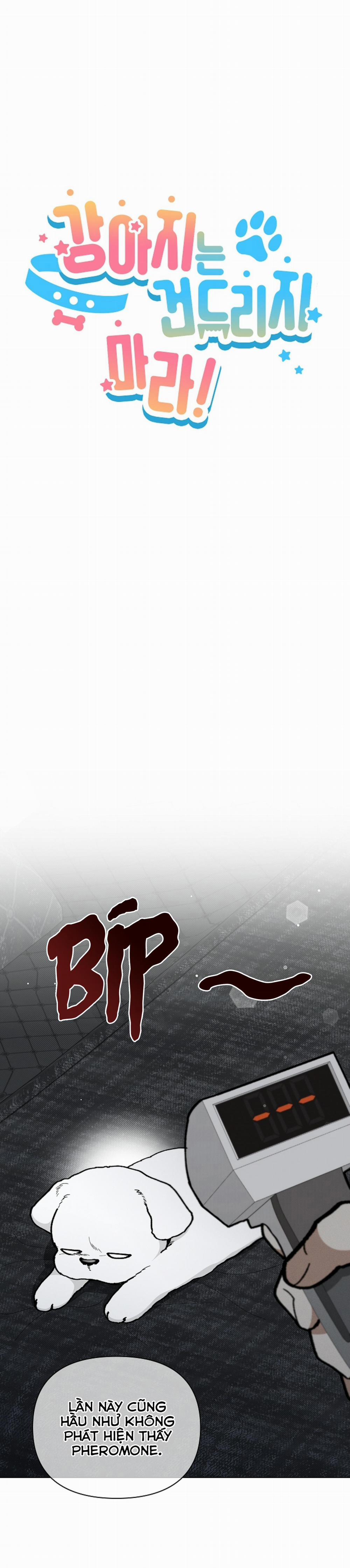 ĐỪNG ĐỤNG VÀO BÉ CÚN 7 trang 6