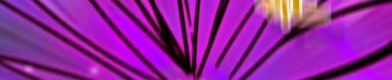 Dũng Giả X Nữ Ma Vương 93 trang 158