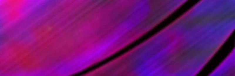 Dũng Giả X Nữ Ma Vương 93 trang 83