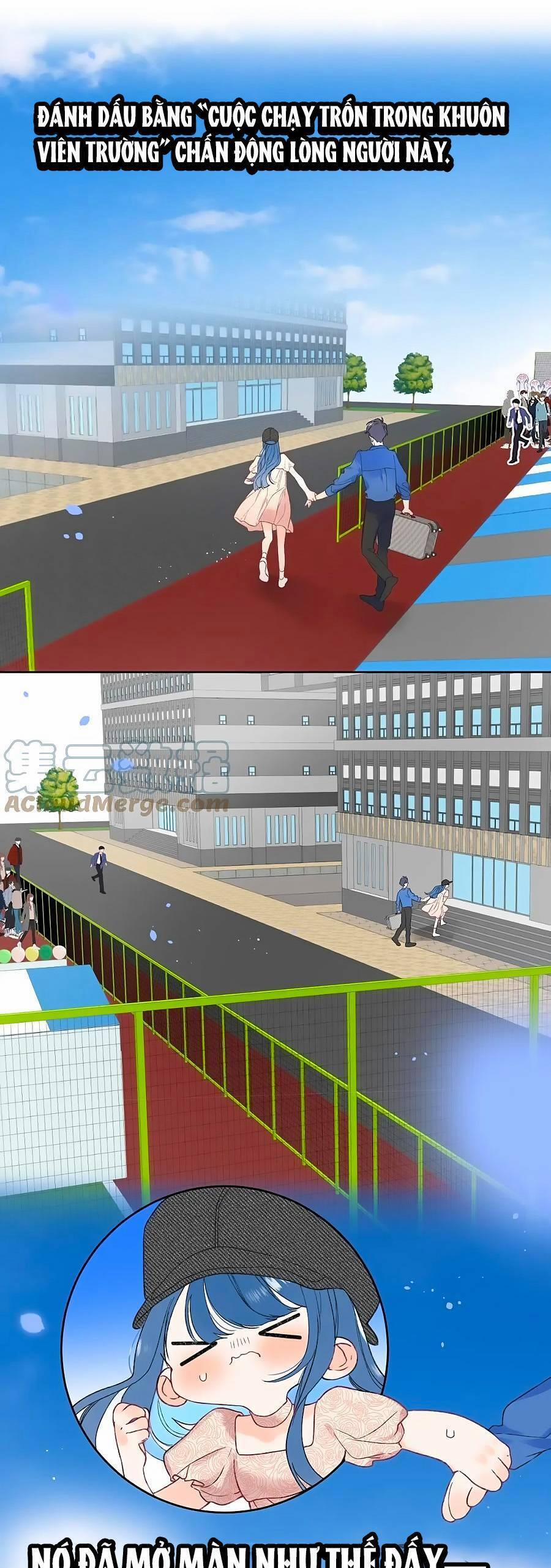 Đừng Khóc 113 trang 26