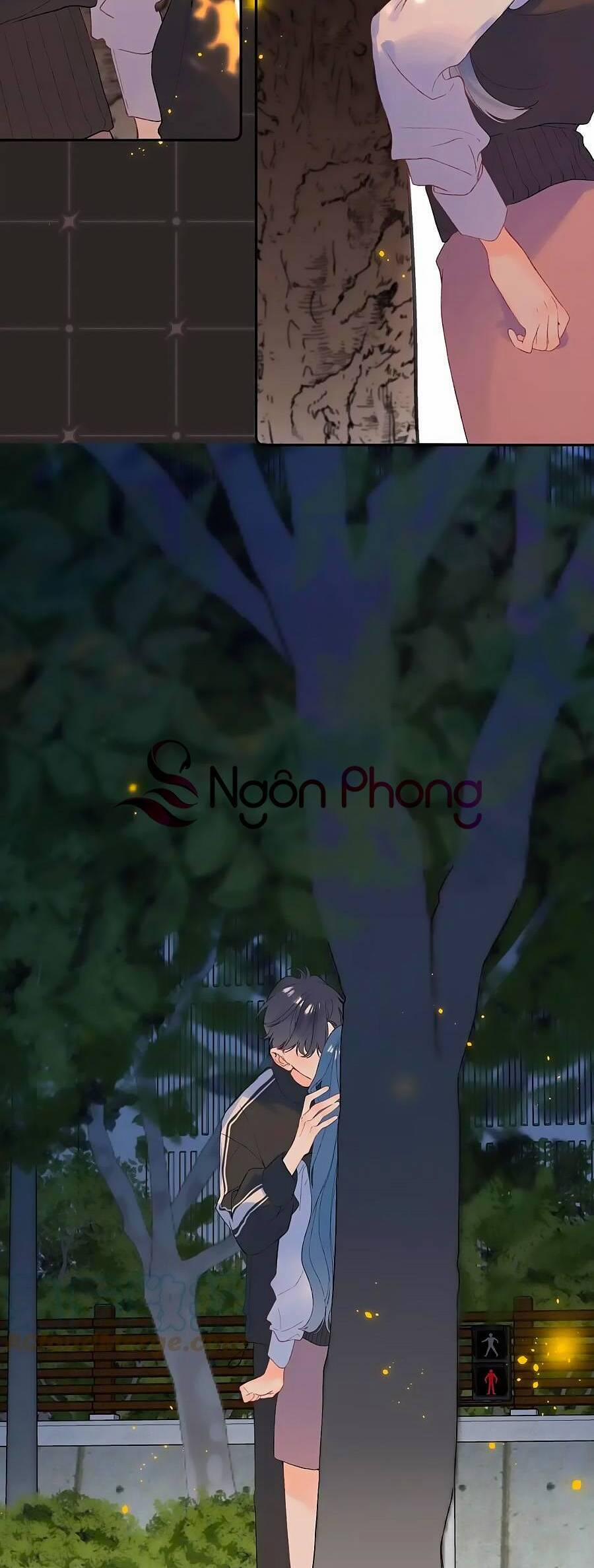 Đừng Khóc 115.5 trang 23