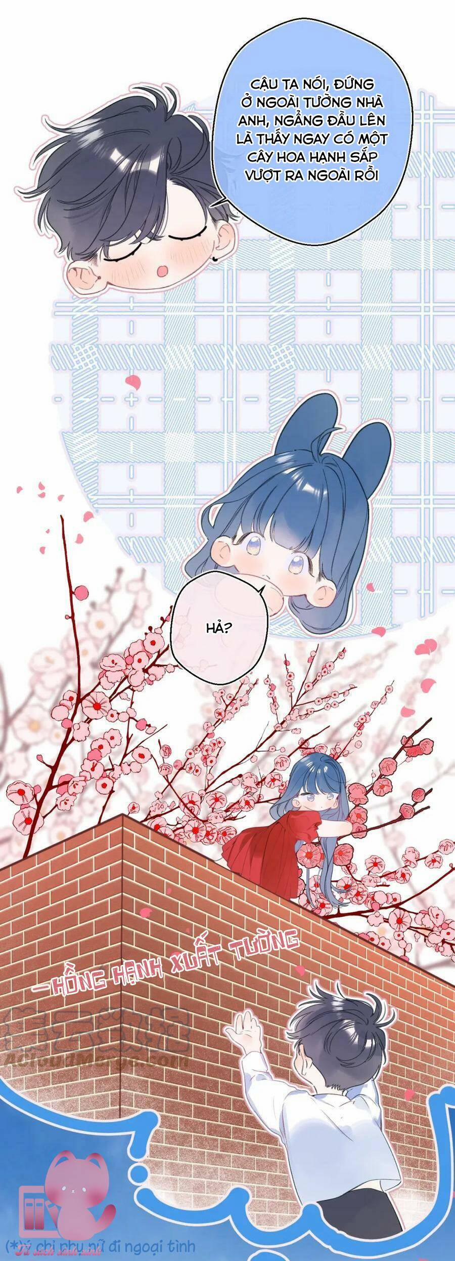 Đừng Khóc 120 trang 15