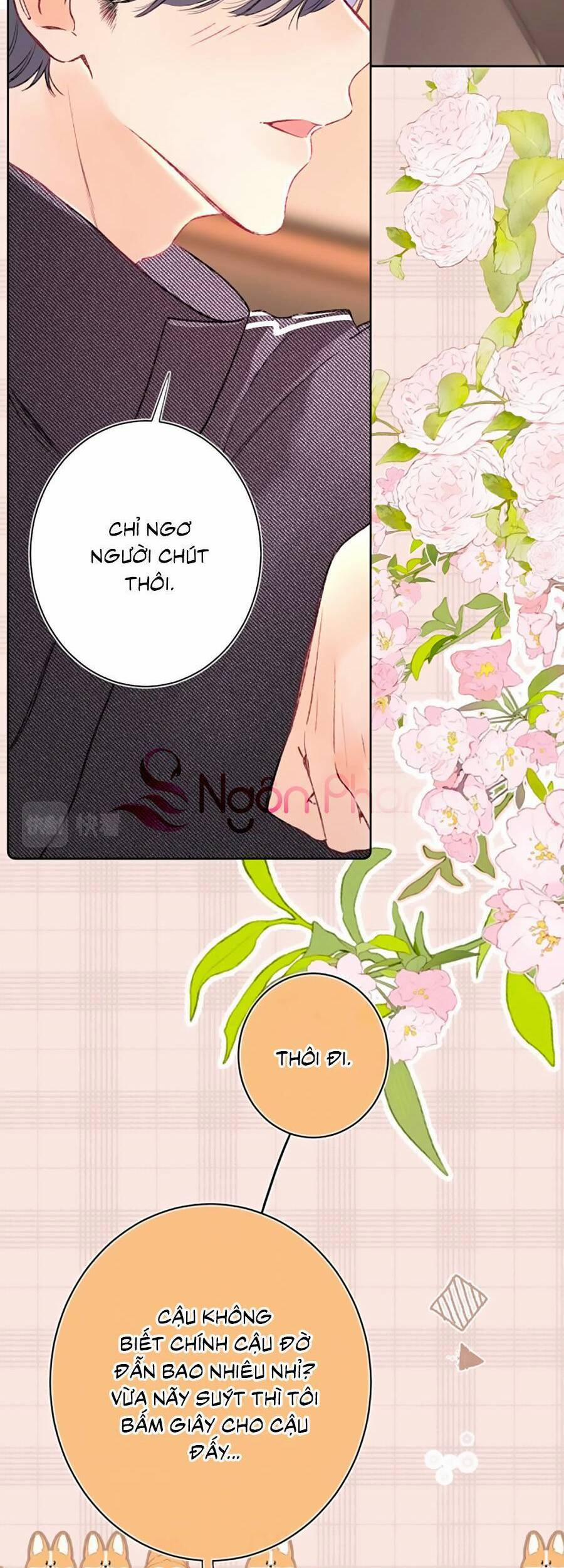 Đừng Khóc 98 trang 2