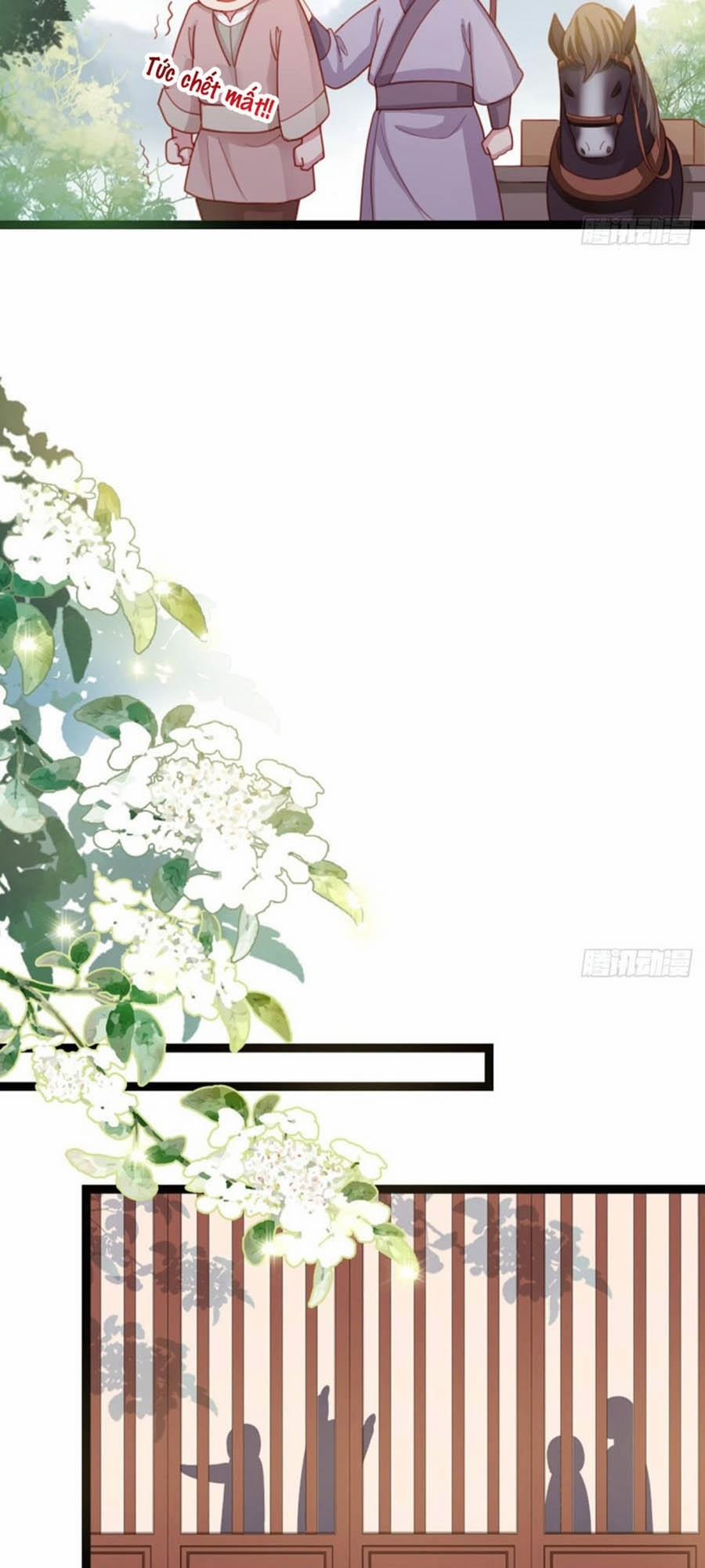 Đứng Lại! Phụng Chỉ Ăn Cướp 25 trang 11