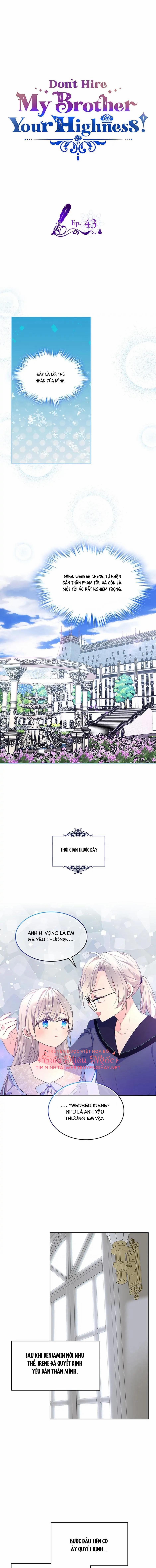 Đừng Lo Lắng, Anh Trai Của Em! 43 trang 0