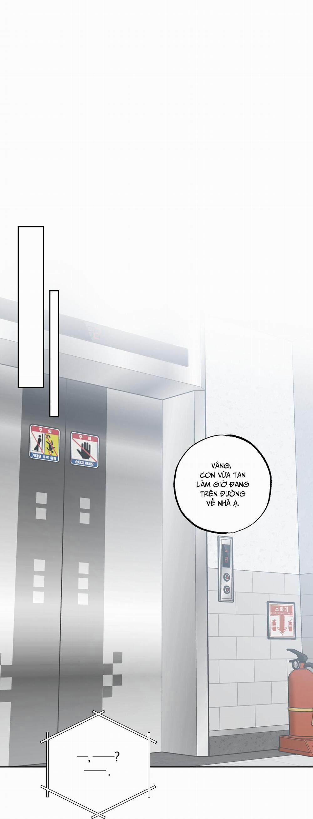 ĐỪNG NÓI LỜI GIAN DỐI 8 trang 37