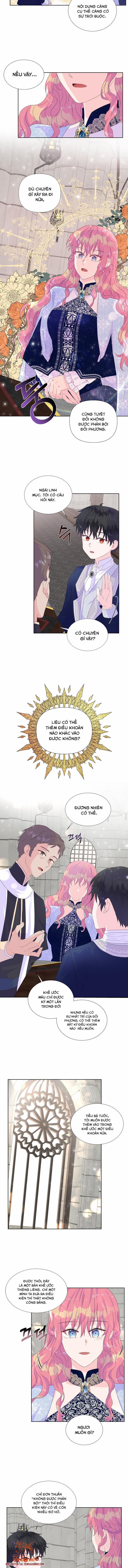 Đừng Tin Tưởng Vào Nữ Chính 11.5 trang 2