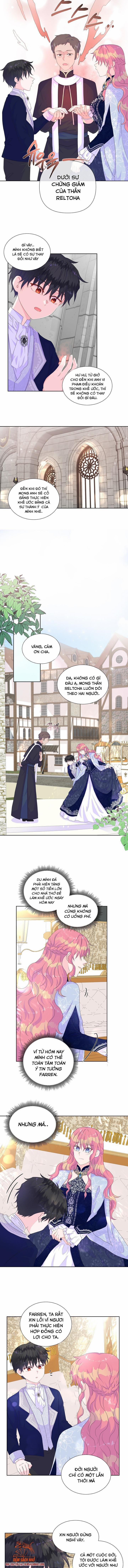 Đừng Tin Tưởng Vào Nữ Chính 12 trang 3