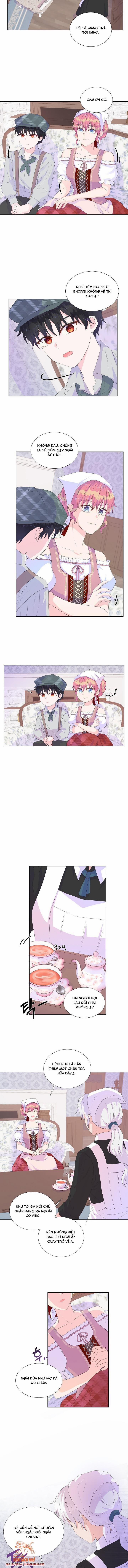 Đừng Tin Tưởng Vào Nữ Chính 15.5 trang 2