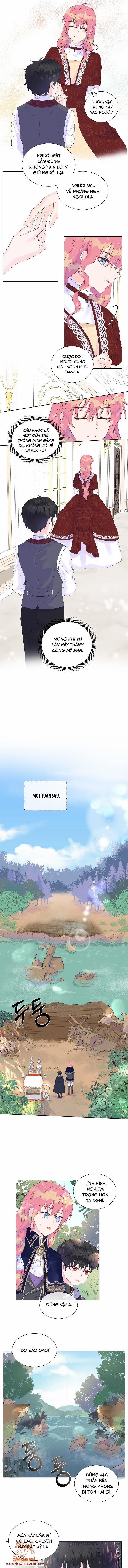 Đừng Tin Tưởng Vào Nữ Chính 9.5 trang 0