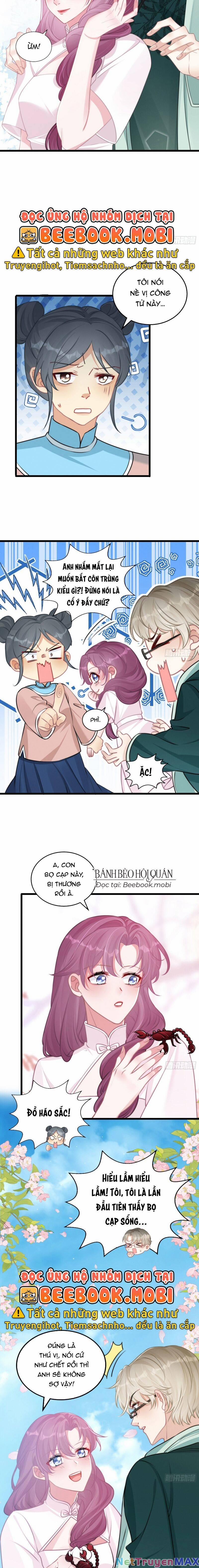 Đừng Trêu Chọc! Độc Nữ Sống Lại Chỉ Để Báo Thù 6 trang 9