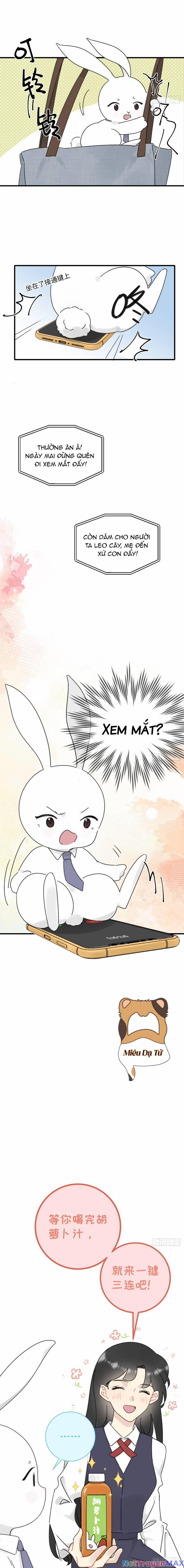 Đừng Tùy Tiện Chống Lại Cấp Trên 13 trang 15