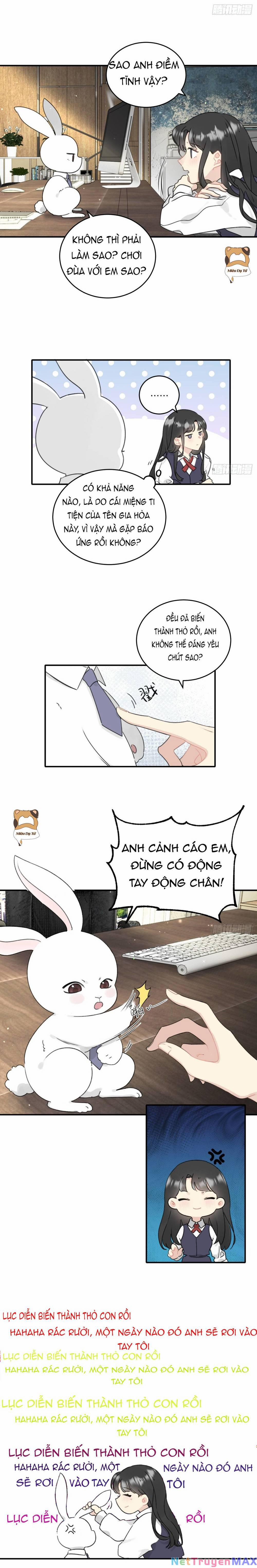 Đừng Tùy Tiện Chống Lại Cấp Trên 2 trang 2