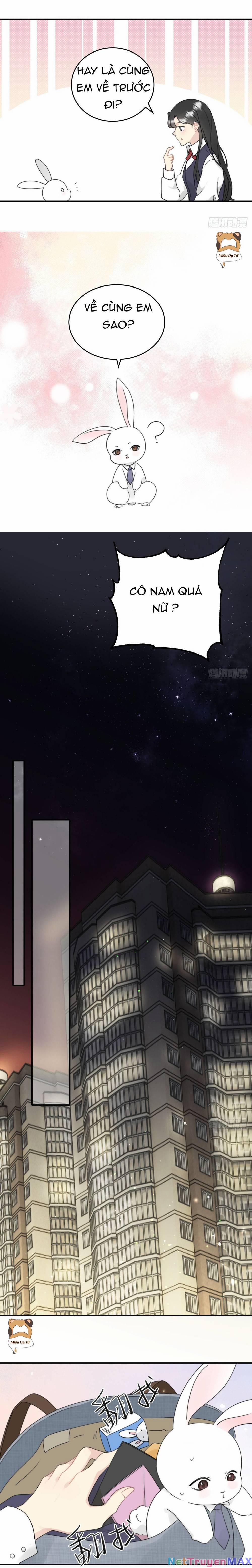 Đừng Tùy Tiện Chống Lại Cấp Trên 2 trang 6