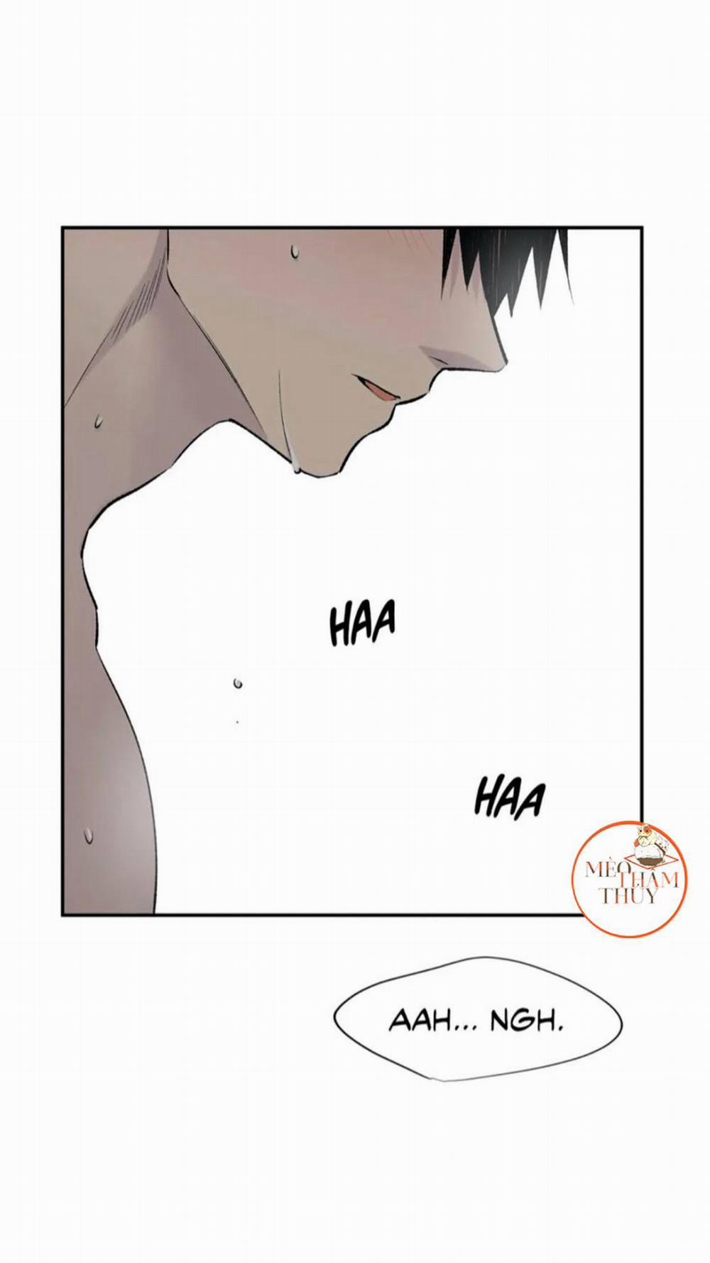 Đừng Viết Nữa, Tác Giả Thân Mến! 15 trang 0