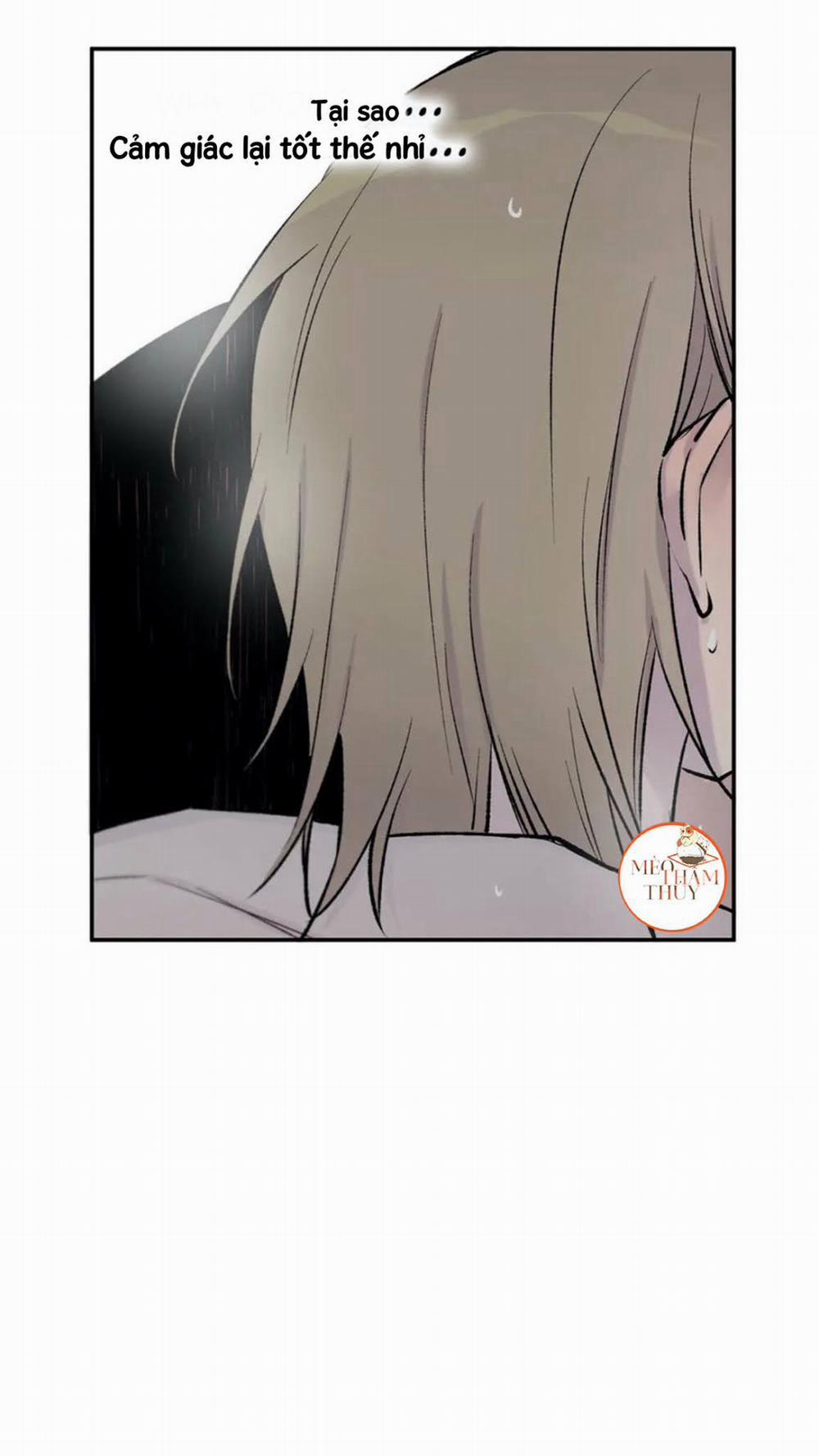 Đừng Viết Nữa, Tác Giả Thân Mến! 16 trang 13