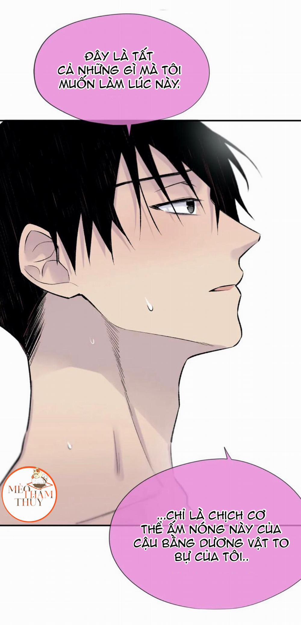 Đừng Viết Nữa, Tác Giả Thân Mến! 16 trang 6