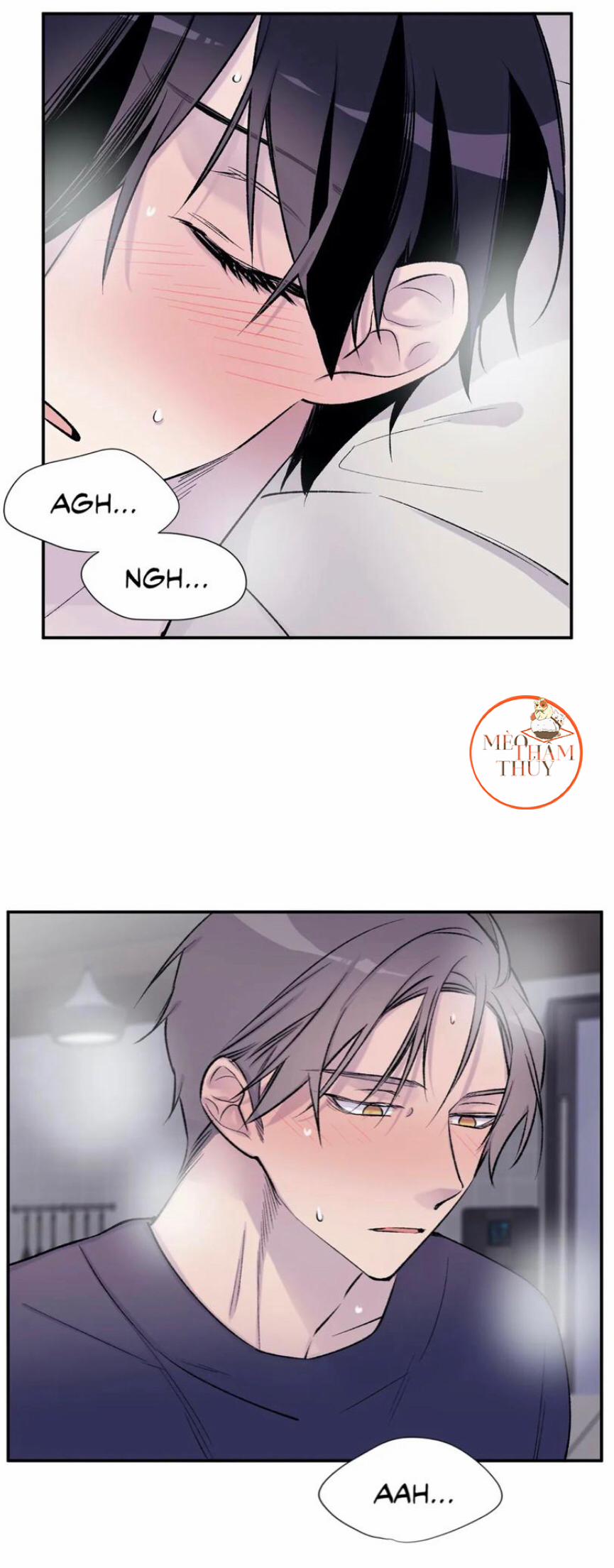 Đừng Viết Nữa, Tác Giả Thân Mến! 17 trang 3