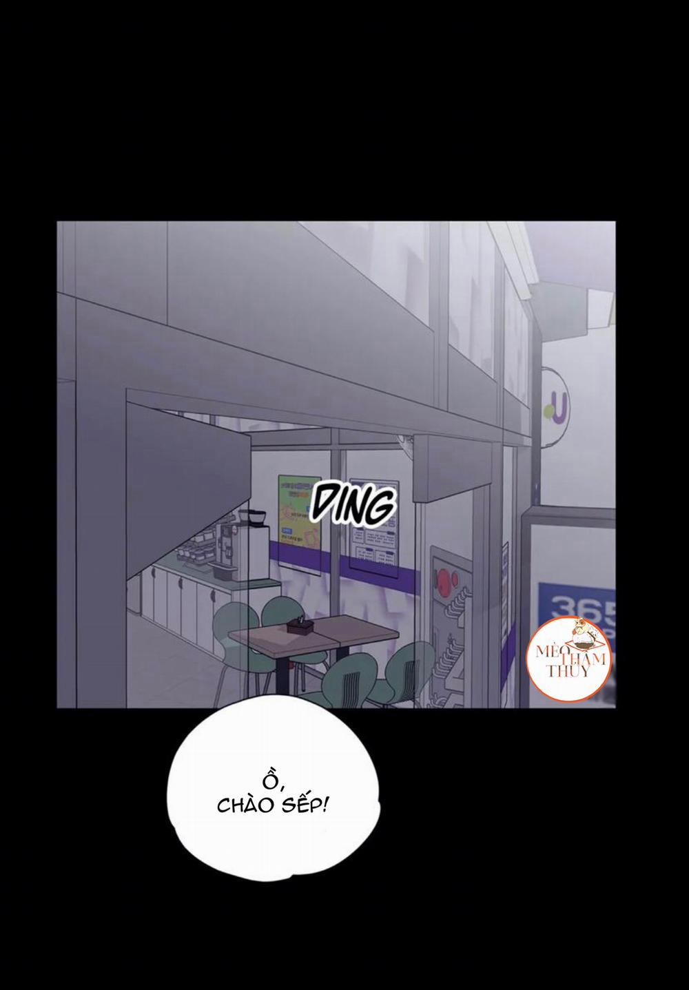 Đừng Viết Nữa, Tác Giả Thân Mến! 17 trang 31