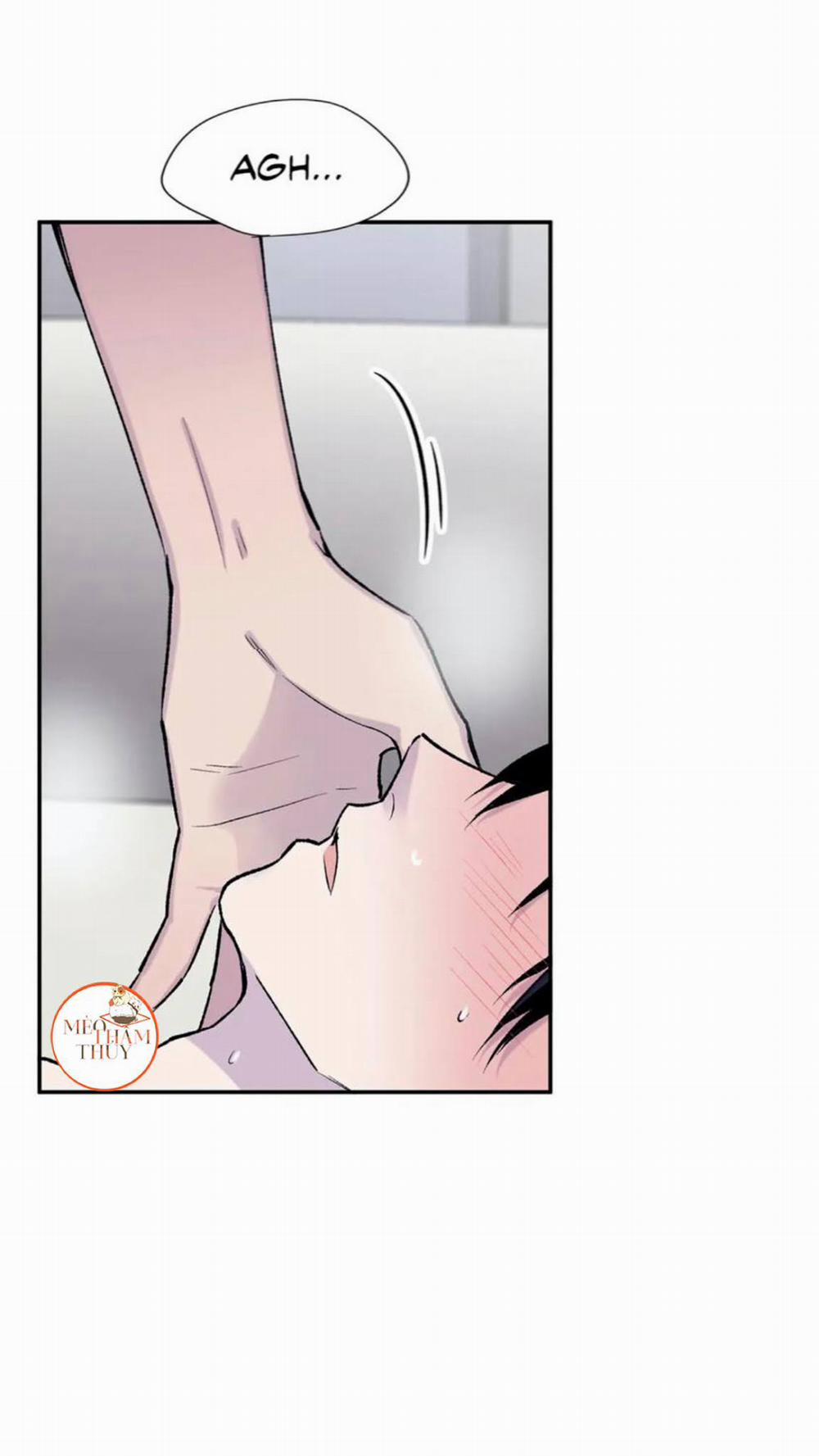 Đừng Viết Nữa, Tác Giả Thân Mến! 17 trang 4