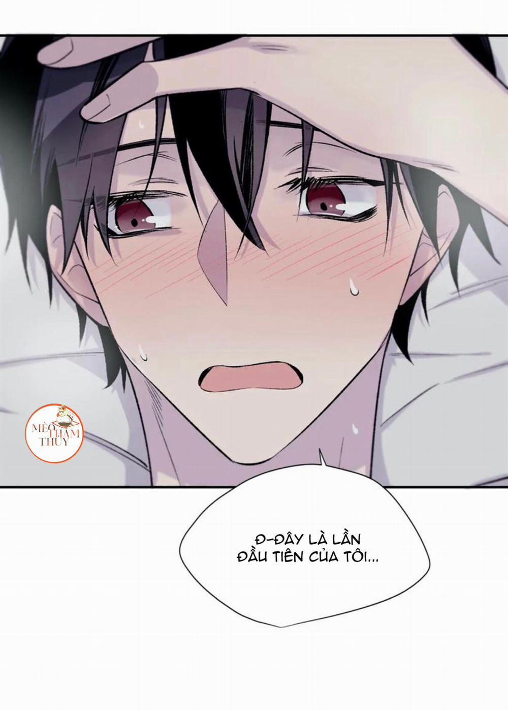 Đừng Viết Nữa, Tác Giả Thân Mến! 19 trang 19