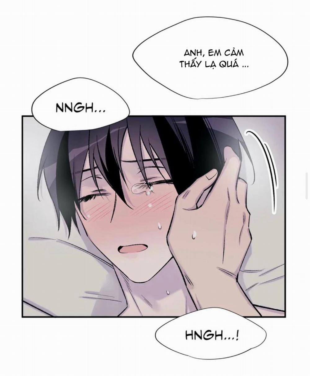 Đừng Viết Nữa, Tác Giả Thân Mến! 19 trang 21