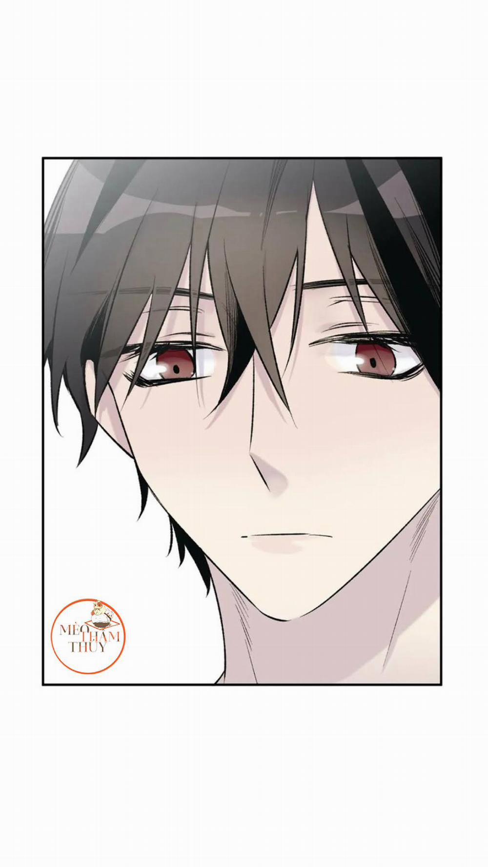 Đừng Viết Nữa, Tác Giả Thân Mến! 20 trang 11