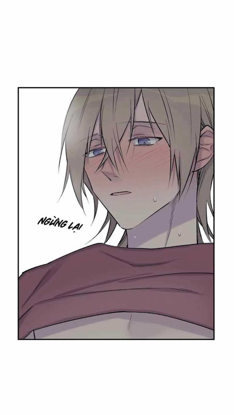 Đừng Viết Nữa, Tác Giả Thân Mến! 23 trang 1