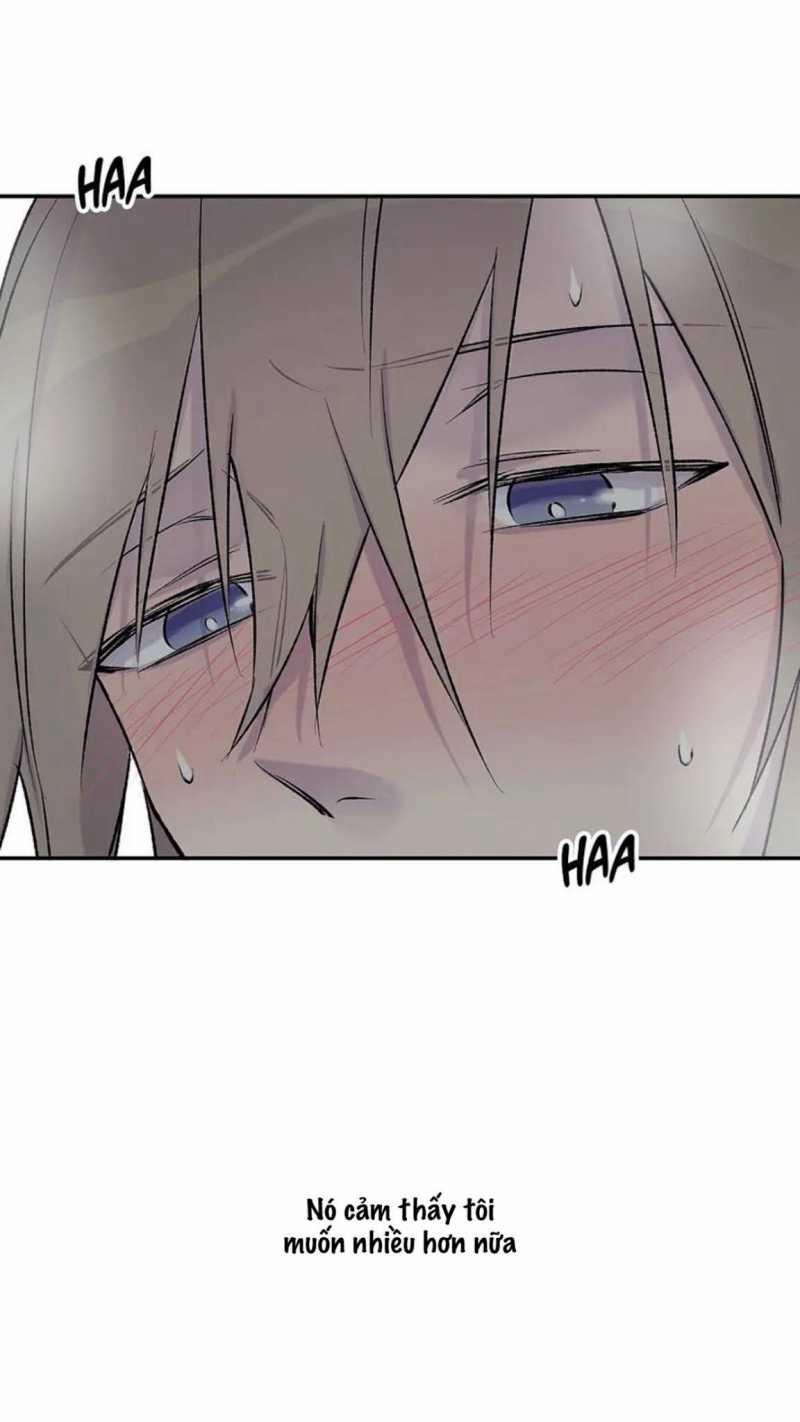 Đừng Viết Nữa, Tác Giả Thân Mến! 23 trang 5