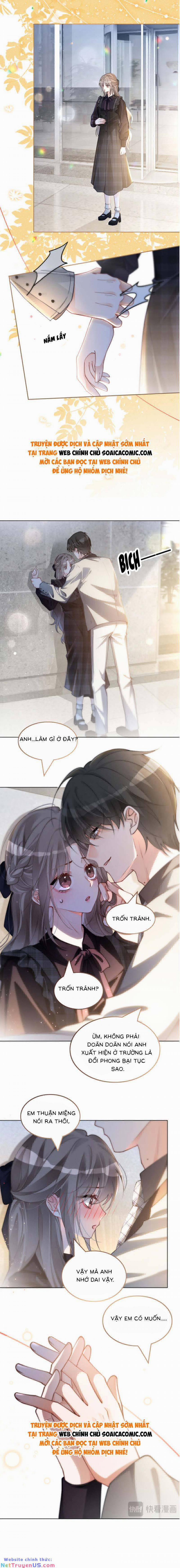 Được Các Anh Trai Chiều Chuộng Tôi Trở Nên Ngang Tàng 242 trang 5