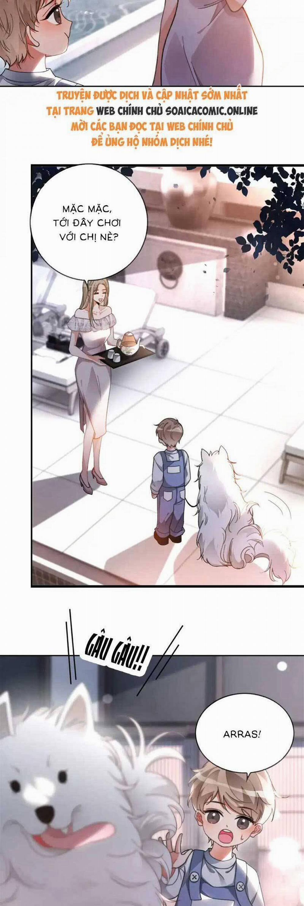 Được Các Anh Trai Chiều Chuộng Tôi Trở Nên Ngang Tàng 255 trang 1