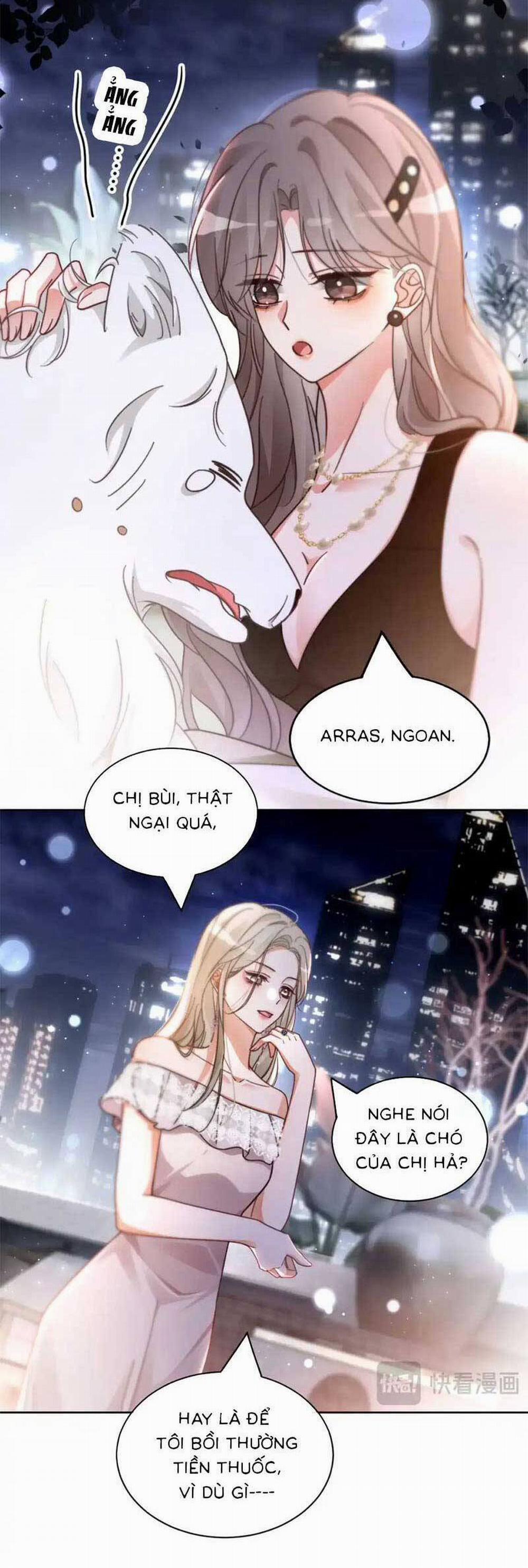 Được Các Anh Trai Chiều Chuộng Tôi Trở Nên Ngang Tàng 255 trang 3