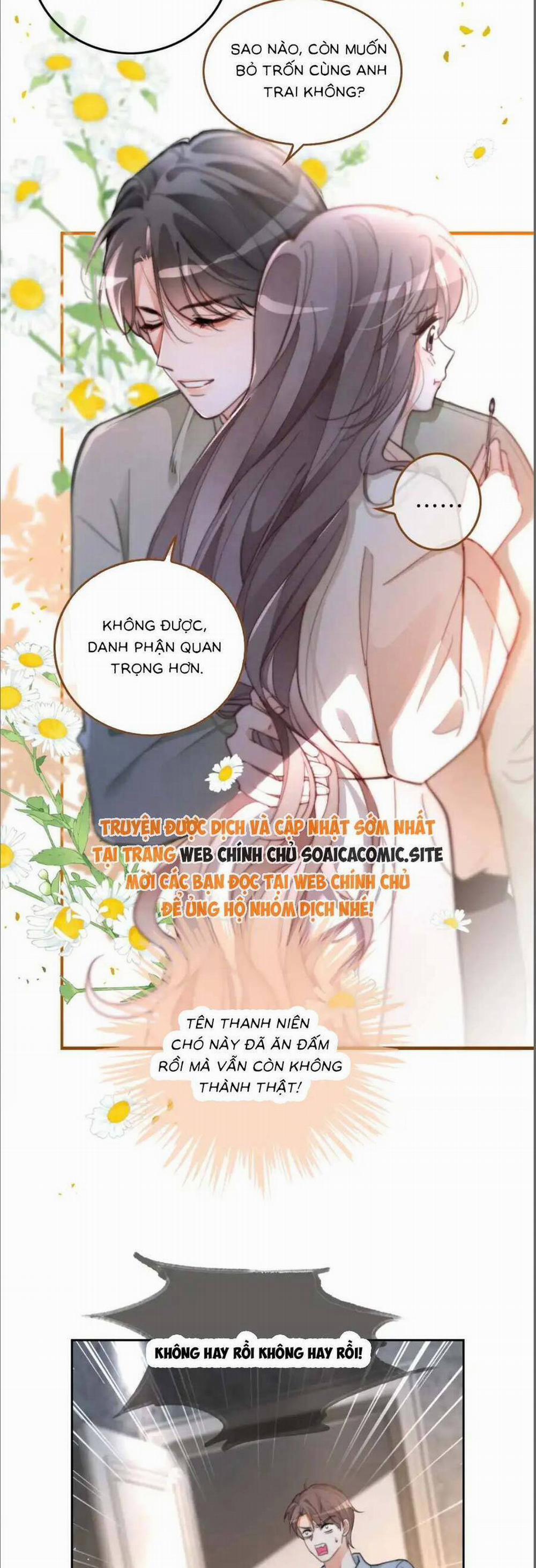 Được Các Anh Trai Chiều Chuộng Tôi Trở Nên Ngang Tàng 259 trang 12