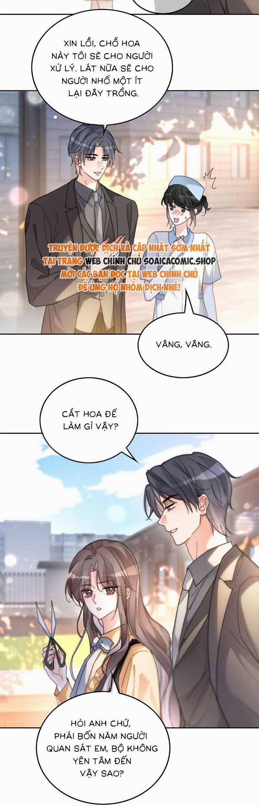 Được Các Anh Trai Chiều Chuộng Tôi Trở Nên Ngang Tàng 262 trang 5