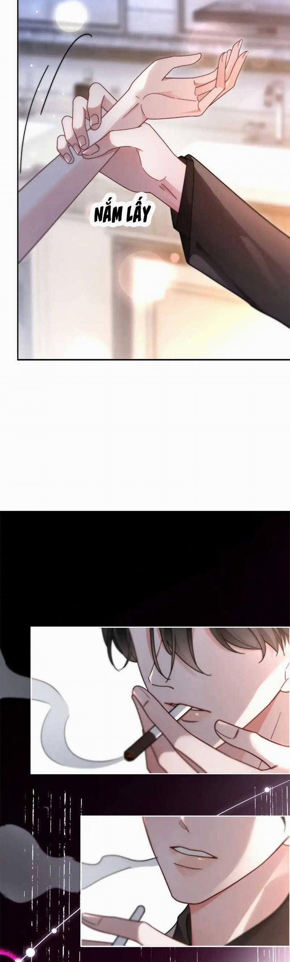 Được Các Anh Trai Chiều Chuộng Tôi Trở Nên Ngang Tàng 276 trang 22