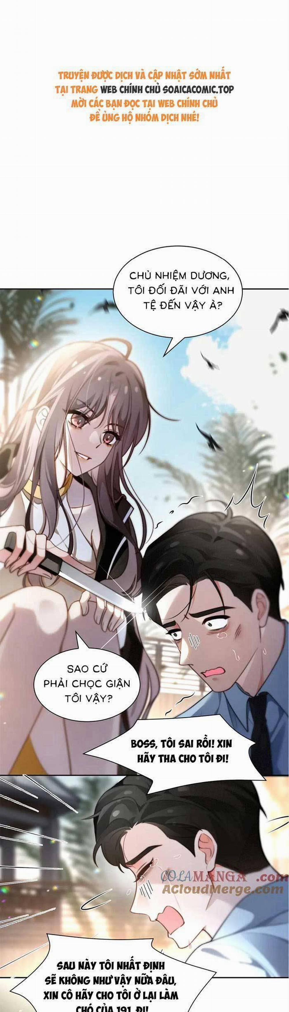 Được Các Anh Trai Chiều Chuộng Tôi Trở Nên Ngang Tàng 292 trang 0