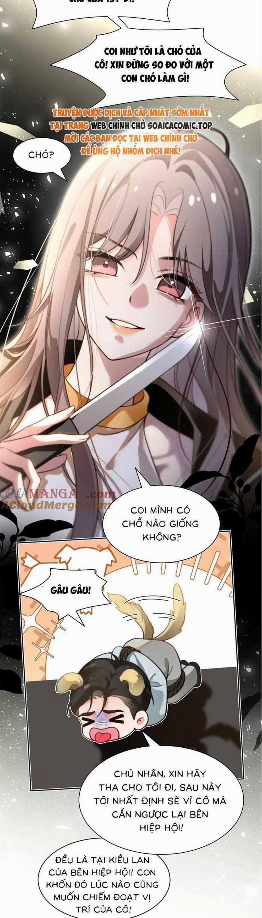 Được Các Anh Trai Chiều Chuộng Tôi Trở Nên Ngang Tàng 292 trang 1